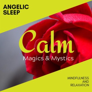 Angelic Sleep - Mindfulness and Relaxation