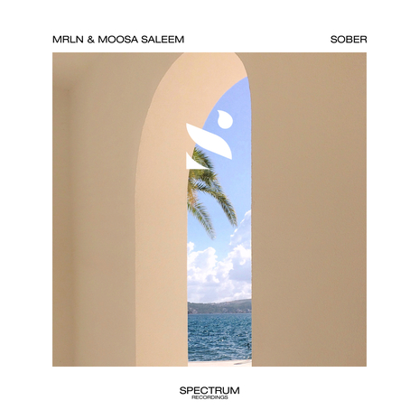 Sober ft. Moosa Saleem | Boomplay Music