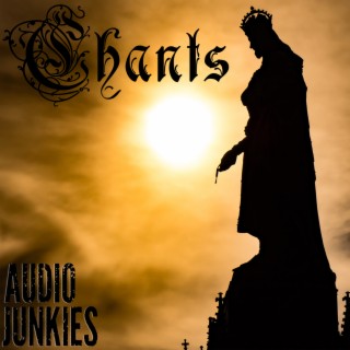 Audio Junkies Music