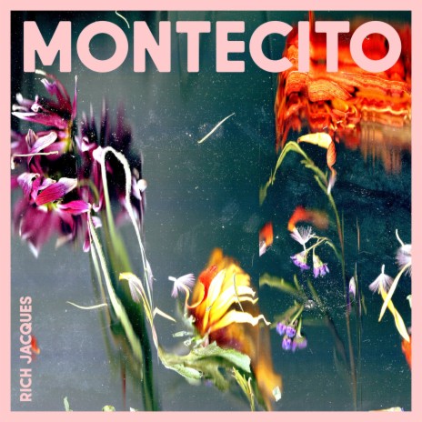 Montecito | Boomplay Music