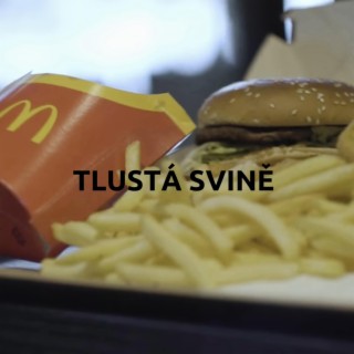 TLUSTÁ SVINĚ