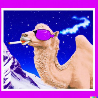 SNOW CAMEL EP