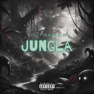 Jungla