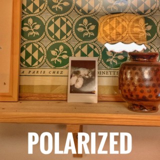 Polarized (Life is Strange)