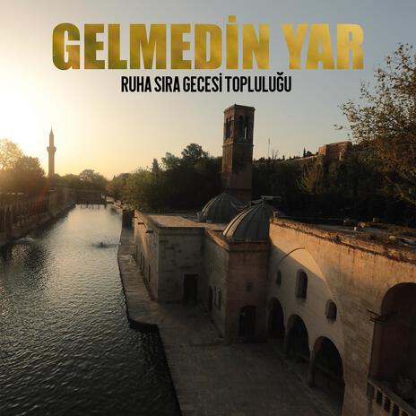 Gelmedin Yar | Boomplay Music