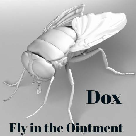 Fly in the Ointment | Boomplay Music