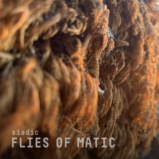 Flies of Matic