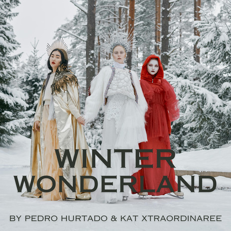 Winter Wonderland | Boomplay Music