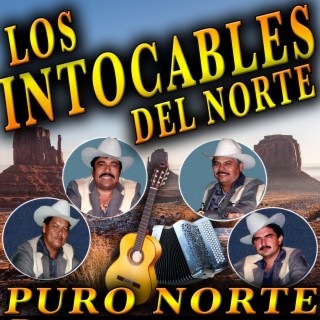 Puro Norte