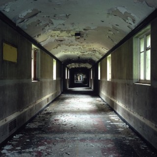 Asylum