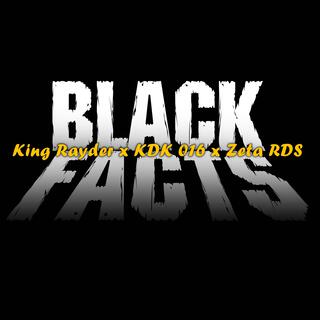 BLACK FACTS / RDS Vandals II