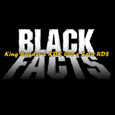 BLACK FACTS / RDS Vandals II ft. Zeta RDS & KDK016 | Boomplay Music