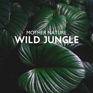 Mother Nature – Wild Jungle, Nature Sounds with Ocean Waves, Calming Crickets Sound, Birds Singing