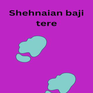 Shehnaian baji tere (feat. Zeeshan Shahzad)