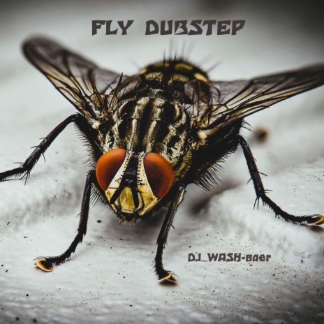 Fly Dubstep