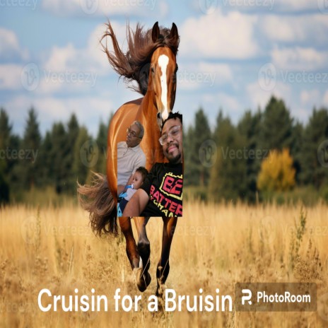 Cruisin for a Bruisin | Boomplay Music