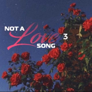 Not A Love Song 3