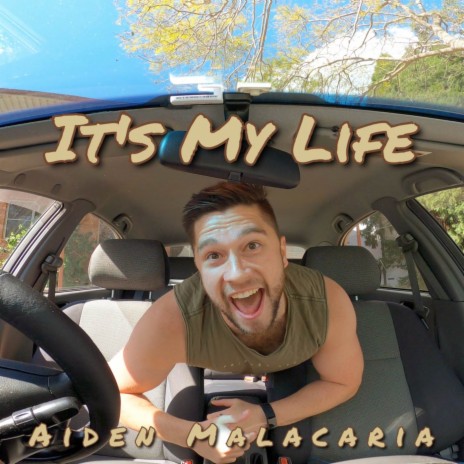 It's My Life | Boomplay Music