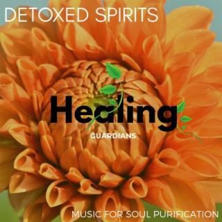 Detoxed Spirits - Music for Soul Purification