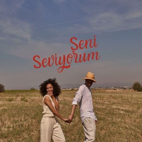 Seni Seviyorum | Boomplay Music