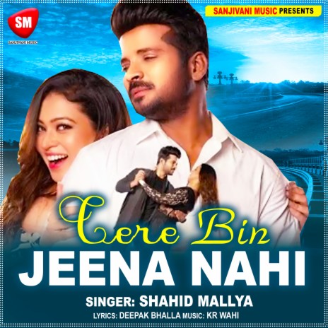 Tere Bin Jeena Nahi (Hindi) | Boomplay Music