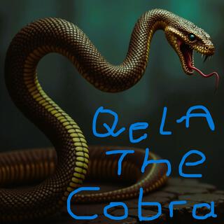 Qvela-The Cobra