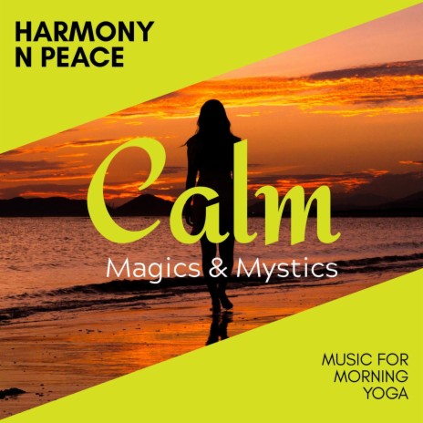 Om Namah Shivaya ft. Meditation Atmospheres | Boomplay Music