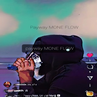 Payway MONE FLOW