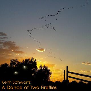 A Dance Of Two Fireflies