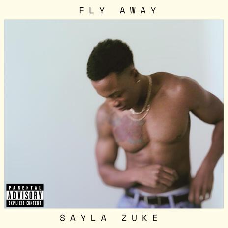 Fly Away | Boomplay Music