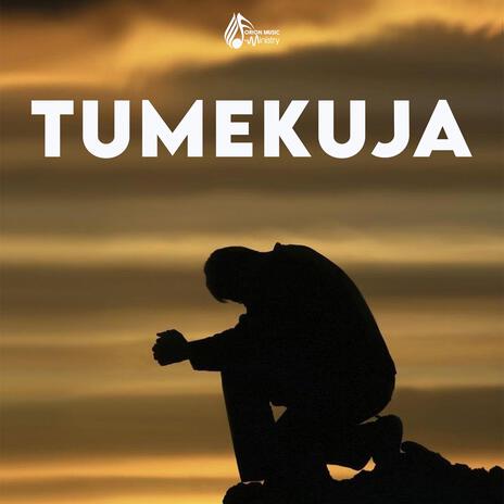 Tumekuja | Boomplay Music