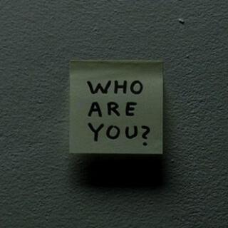 WHO ARE YOU ?