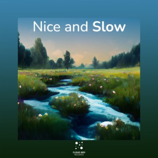 Nice and Slow