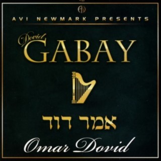 Dovid Gabay