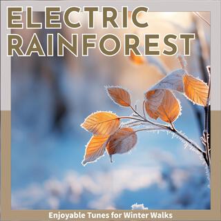 Enjoyable Tunes for Winter Walks