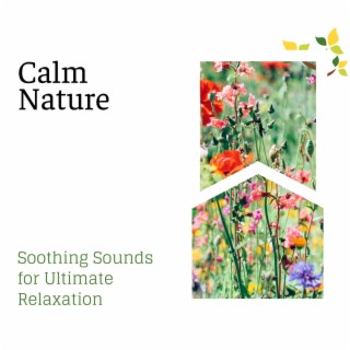 Calm Nature - Soothing Sounds for Ultimate Relaxation