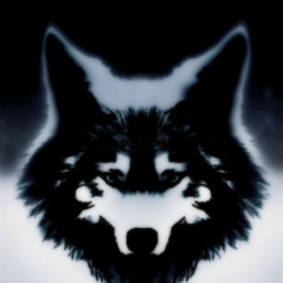 Wolfblood