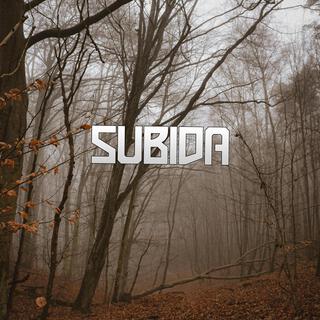 Subida