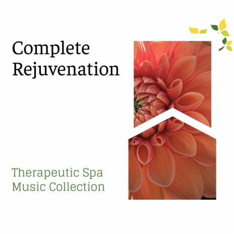 The Allignment ft. Spa Music Relaxation