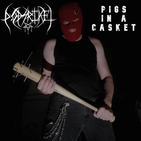 Pigs In A Casket | Boomplay Music