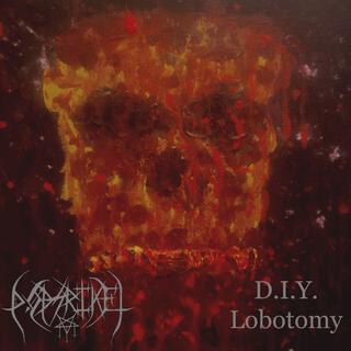 D.I.Y. Lobotomy