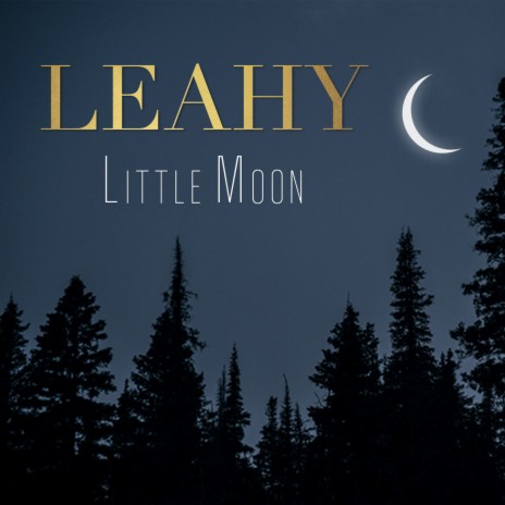 Little Moon | Boomplay Music