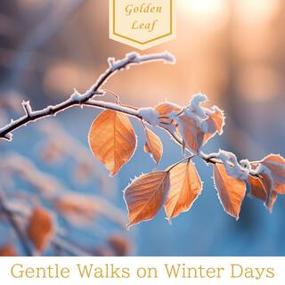 Gentle Walks on Winter Days