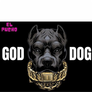 GOD DOG