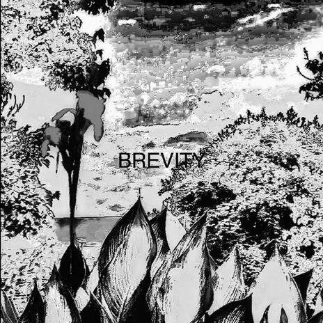 BREVITY | Boomplay Music