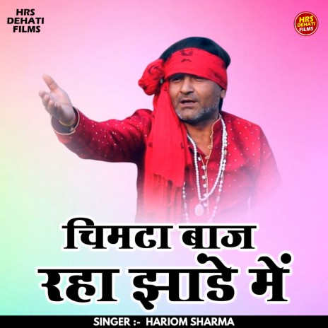Chimata Baaj Raha Jhande Mein (Hindi)