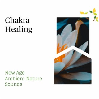 Chakra Healing - New Age Ambient Nature Sounds