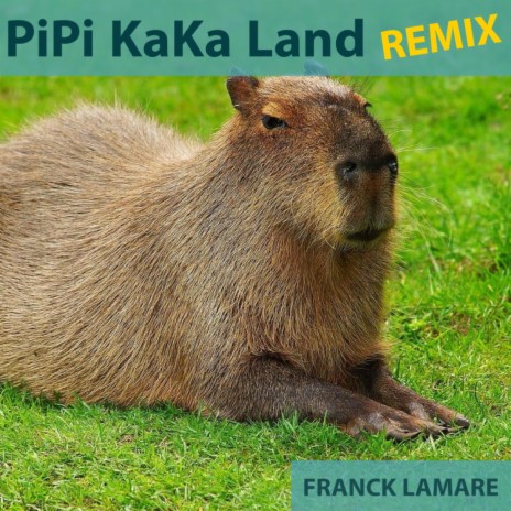 PiPi KaKa Land (REMIX) | Boomplay Music