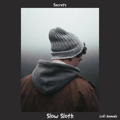 Secrets ft. Lofi Animals | Boomplay Music