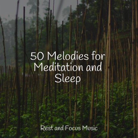 Deep Focus Meditation | Boomplay Music